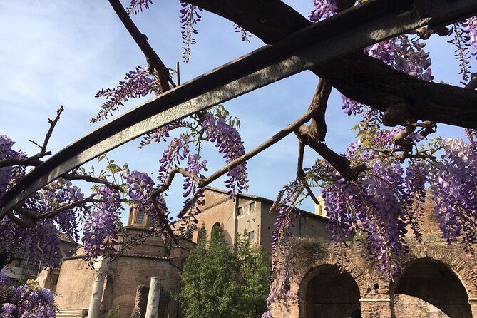 Colosseum with Arena Floor, Roman Forum and Palatine Hill - Private Tour - FAQ
