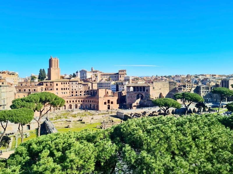 Colosseum with Arena, Roman Forum & Palatine Guided Tour - What We Love and What to Watch Out For