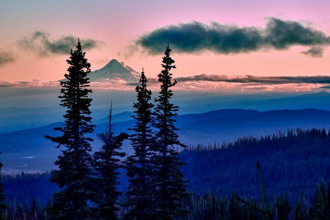 Columbia Gorge Waterfalls & Wineries from Portland: All-Inclusive Afternoon Tour - Who Will Love This Tour?