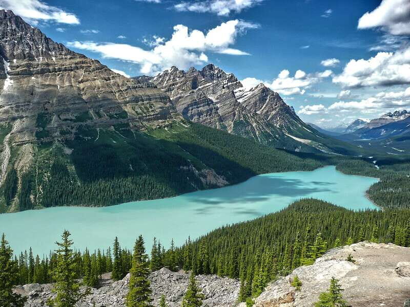 Columbia Icefield, Peyto Lake, Bow Lake Discovery Tour - Key Points