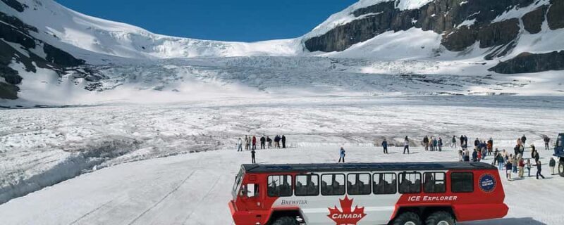 Columbia icefield, Skywalk, Waterfowl, Bow & Peyto Lake Tour - The Practical Side