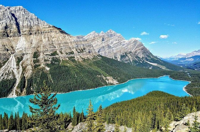Columbia Icefield,Peyto Lake,Bow Lake Day Trip from Banff/Calgary - Who Will Love This Tour?