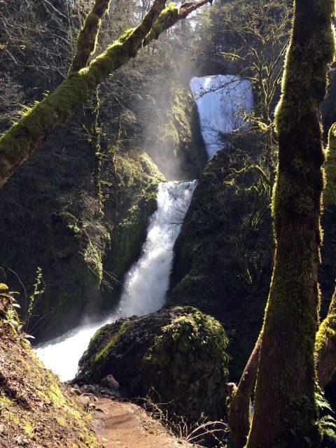 Columbia River Gorge Half-Day Small-Group Hiking Tour - Who This Tour Is Best For