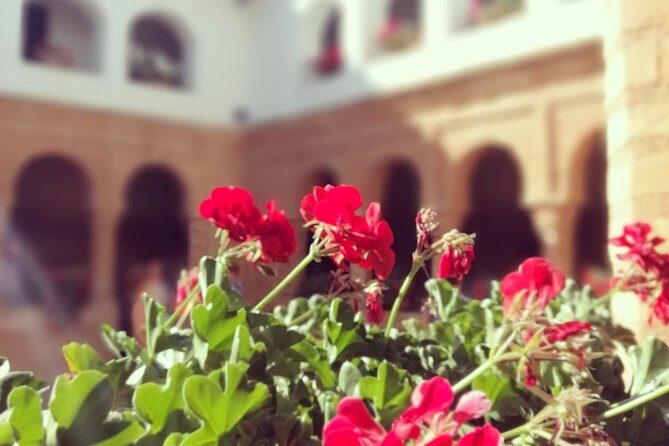 Columbian Places, behind the steps of Christopher Columbus - Price and Value Analysis