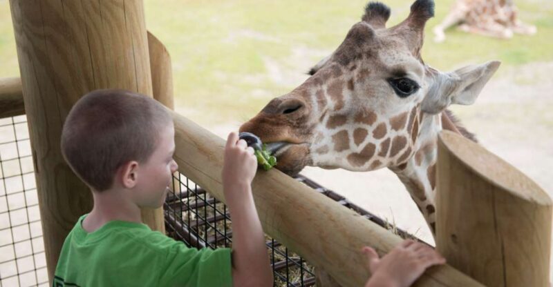 Columbus: Multiple Attractions Pass - Key Points