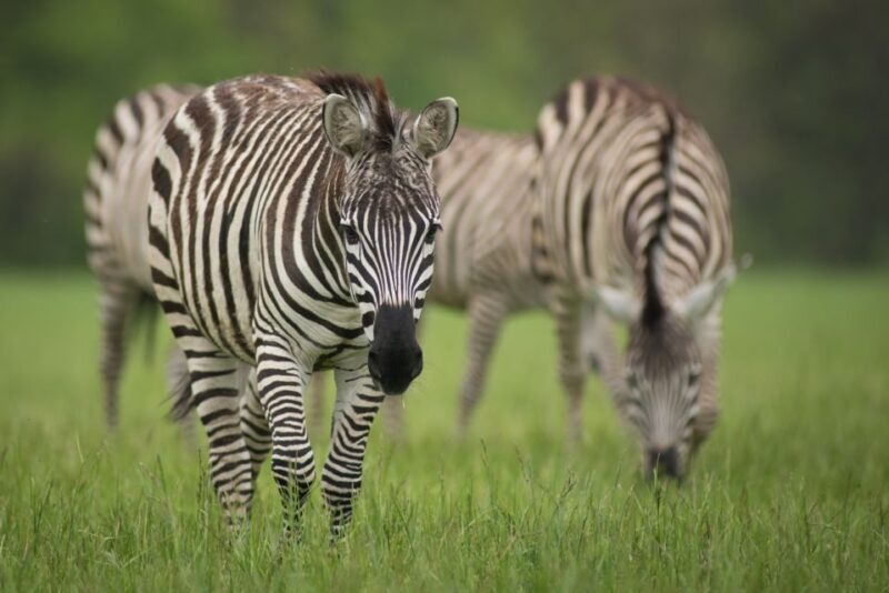 Columbus: Multiple Attractions Pass - FAQ