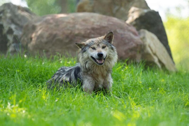 Columbus, OH: Columbus Zoo and Aquarium Entry Ticket - Is It Worth the Price?