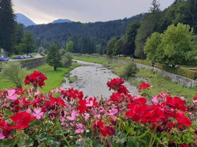 Comano Terme: Terme di Comano SPA Experience Ticket - The Sum Up