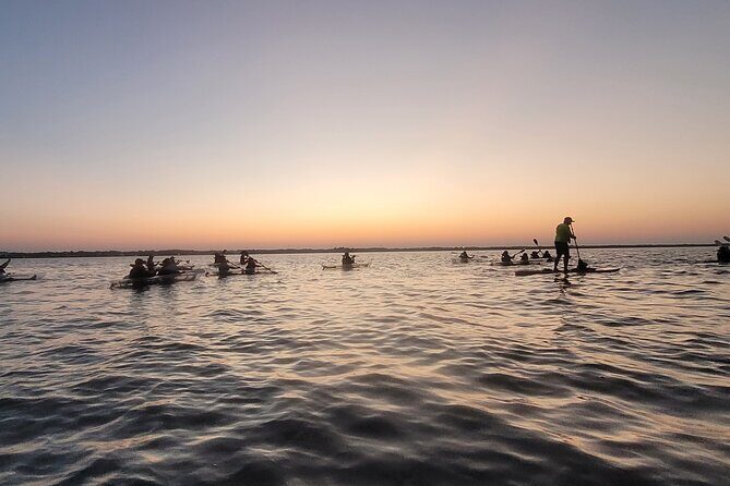 Comb Jelly Bioluminescence Clear Kayak Glow Tour - What to Expect from the Tour