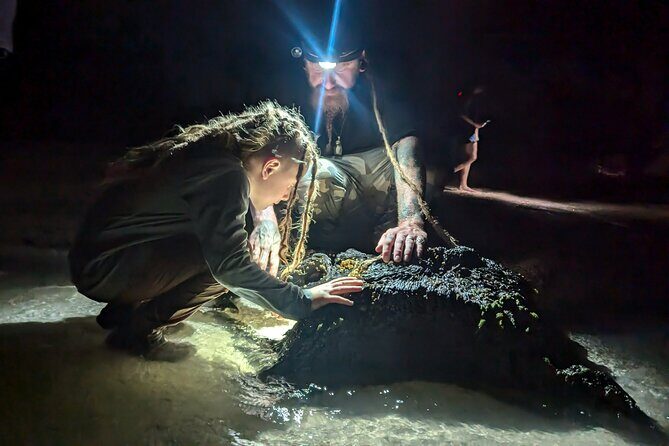 Comb Jelly Bioluminescence Clear Kayak Glow Tour - The Sum Up