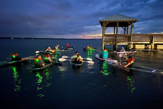 Comb Jelly Bioluminescence Clear Kayak Glow Tour - FAQ
