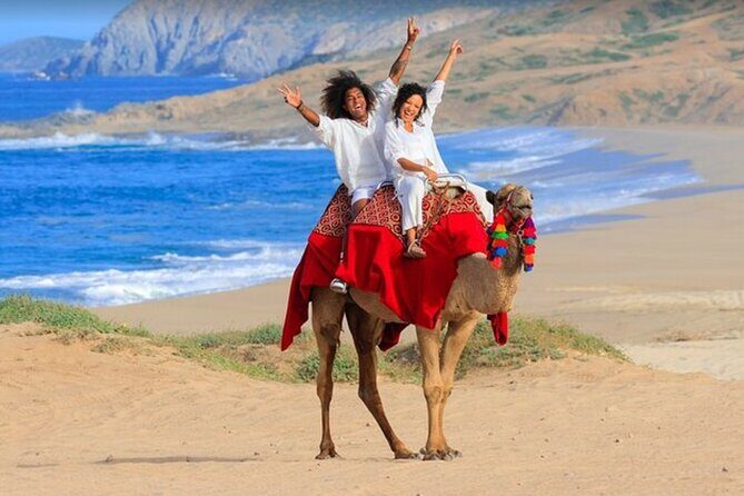 Combination Tour in Cabo San Lucas Mexico - Snorkeling at Pelican Rock