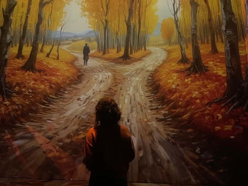 Combined ticket: Digital Exhibition & Museum of Illusions - Key Points