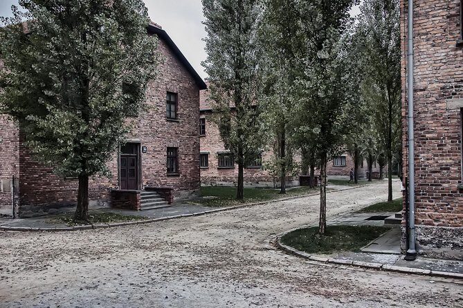 Combined tour Auschwitz Birkenau guided & Salt Mine guided from Krakow - Things to Keep in Mind