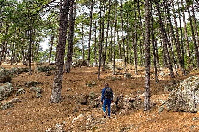 Combined Tour - Final Thoughts