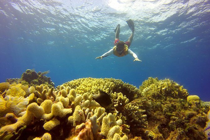 Combo 2 Caribbean Islands: Isla Mujeres, Cozumel with snorkel - A Practical Look at the Combo 2 Caribbean Islands Tour: Isla Mujeres & Cozumel with Snorkel