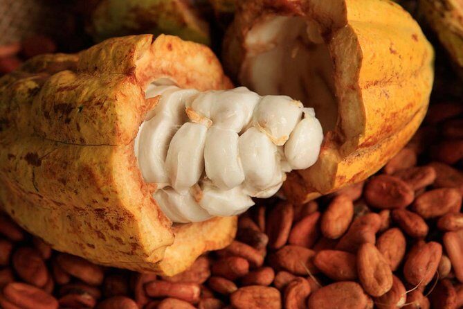 Combo 2 Caribbean Islands: Isla Mujeres, Cozumel with snorkel - Real-World Insights: What Travelers Say