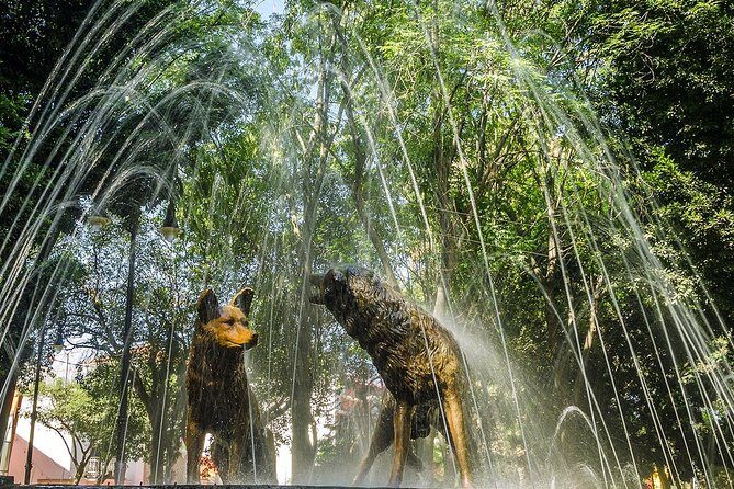 Combo 2 days. Day1: Mexico City Tour & Pyramids. Day2: Xochimilco & Frida Kahlo - Who Should Consider This Tour?