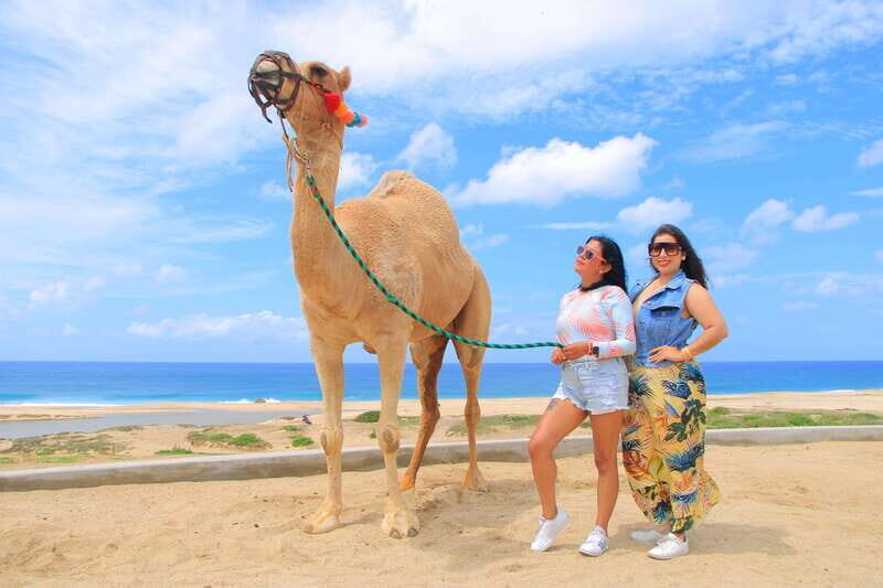 Combo 4X4 Automatic ATV & Camel Ride in Cabo by Cactus Tours - Who Is This Tour Best For?