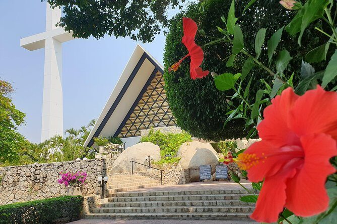 Combo 6 Hr Tour All City Highlights Divers Baby Turtle Release - FAQs