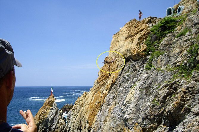 Combo 6 Hr Tour All City Highlights Divers Baby Turtle Release - Practical Considerations