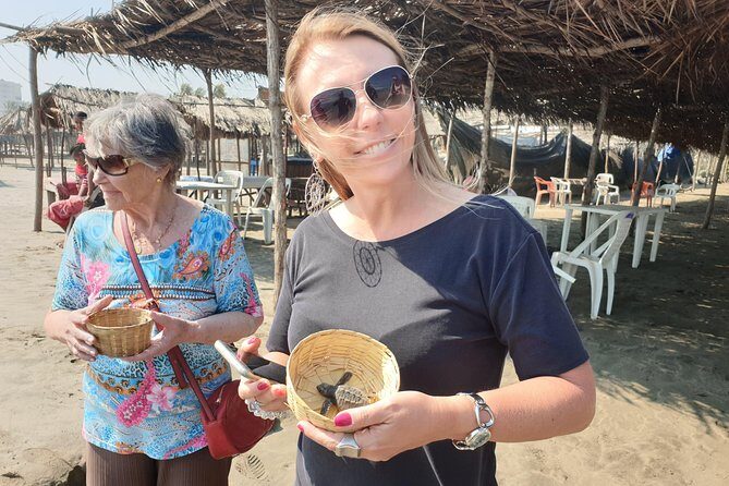 Combo 6 Hr Tour All City Highlights Divers Baby Turtle Release - FAQs