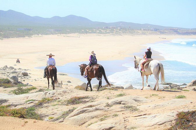 Combo Adventure with Horse, ATV or RZR and Tequila Tasting - The Practice of Tequila Tasting