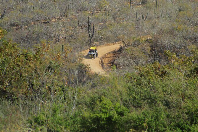 Combo Adventure with Horse, ATV or RZR and Tequila Tasting - Considerations and Tips