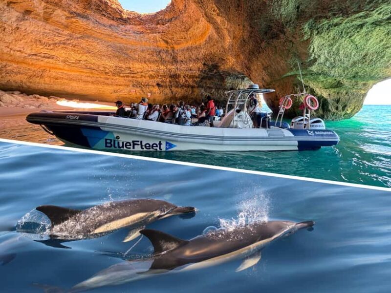 Combo: Benagil & Dolphins Boat Tour w/ Marine Biologists - The Itinerary: What to Expect on the Water