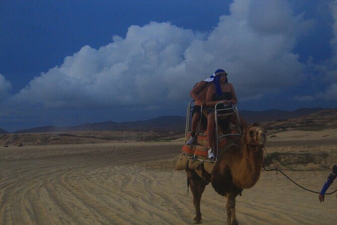 Combo Camelback Safari and ATV Ride Combo Tour Adventure - Final Thoughts