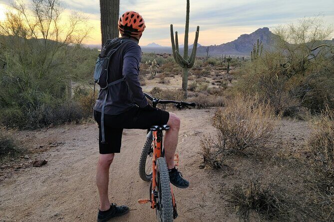 Combo E-Bike Adventure with Camels and Lunch in Cabo - The Camel Ride: Beachside Charm