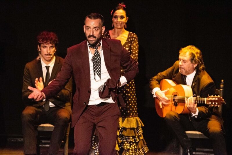 Combo: Hop on hop off + Flamenco Show & Walking tours - Walking Tours in Triana and Santa Cruz