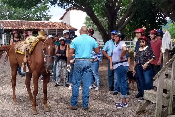 Combo Horse Back Riding and Zip Line in Vallarta - Tips for Making the Most of the Tour