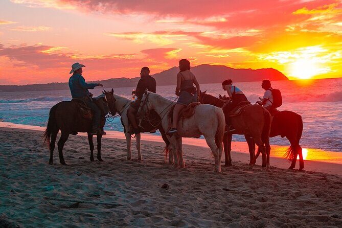 Combo Horseback Beach Ride & ATV Adventure. Tequila Tasting - The Sum Up