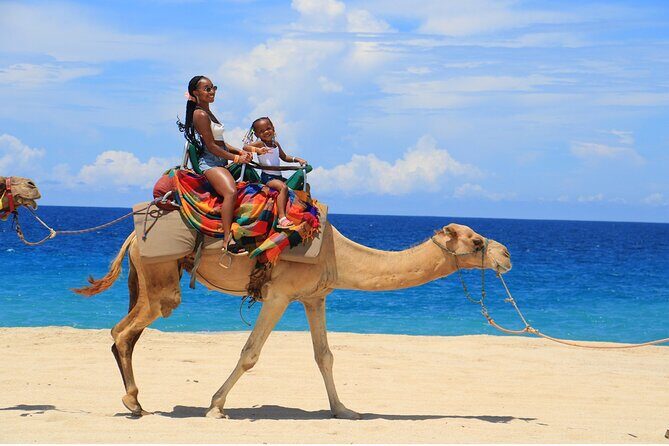 Combo Horseback ride & Sky Bike in Cabo by Cactus Tours Park - FAQs