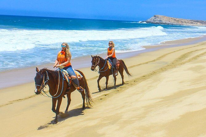 COMBO Horseback Riding & UTV Tour - Experience Breakdown: What to Expect During Your Cabo Adventure