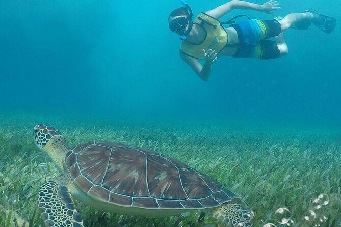 Combo Parasailing and Amazing snorkeling in Cancun - Final Thoughts