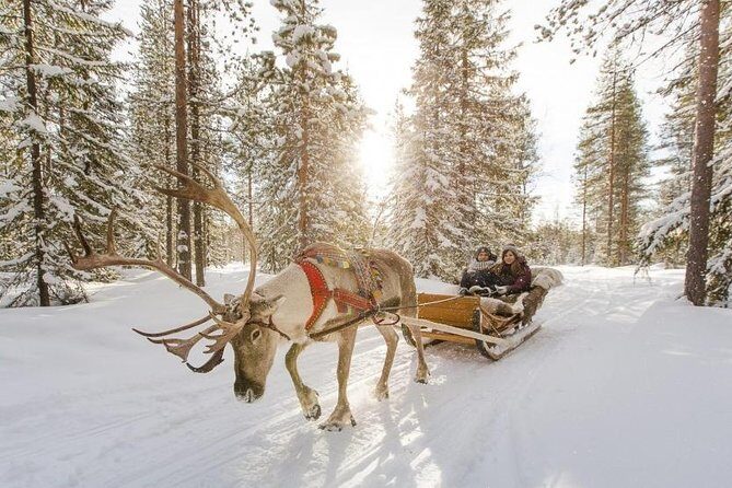 COMBO Private tour HUSKY and REINDEER Park by VIP car with guide - A Deep Dive Into the Experience