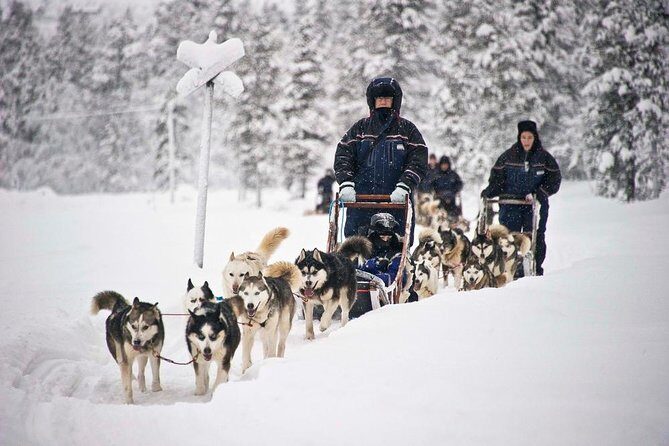 COMBO Private tour HUSKY and REINDEER Park by VIP car with guide - Frequently Asked Questions