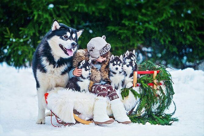 COMBO Private tour HUSKY and REINDEER Park by VIP car with guide - Final Thoughts