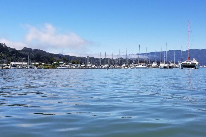 Combo Small-Group Tour: SF City plus Muir Woods & Sausalito - Final Thoughts