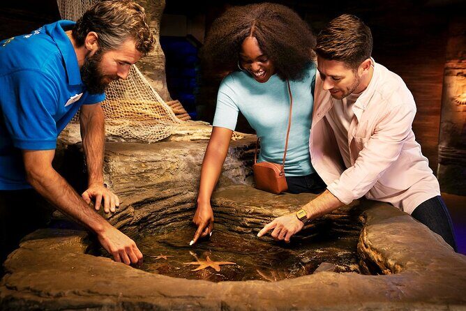 Combo Ticket: Madame Tussauds & SEA LIFE London Aquarium - Who Should Consider This?