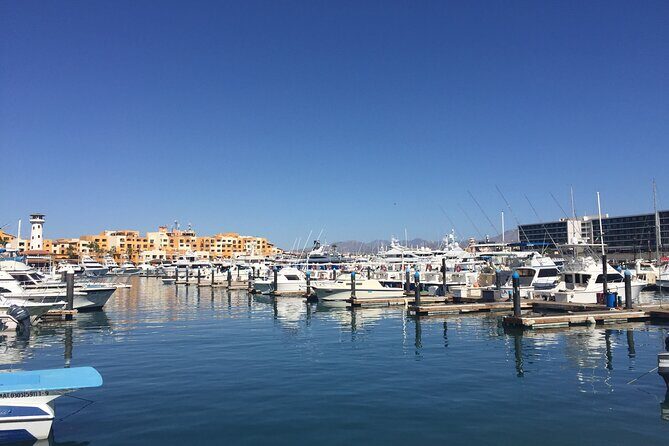 Combo Tour: City Tour of Cabo San Lucas and Beach Day - The Sum Up