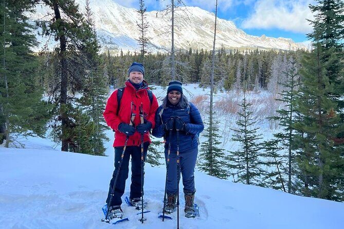 Combo Tour: Driving and Snowshoe Trek of Glacier National Park - Is This Tour Worth It?