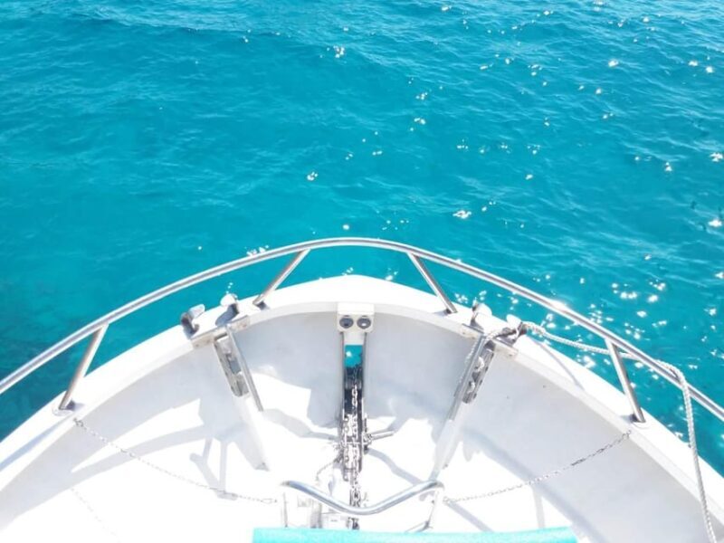 Comino: Private Boat Trips, Swimming stops and Caves Tours - What Makes This Tour Stand Out?