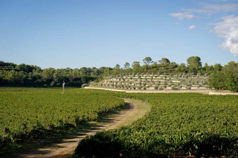 Commanderie de Peyrassol: Self-guided tour among art, vineyards, and forest - Exploring the Commanderie de Peyrassol: What You Can Expect