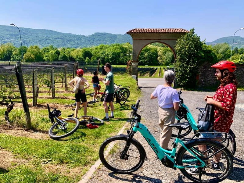 Como: Lake Como and Swiss Vineyards Ebike Tour - Potential Drawbacks and Considerations