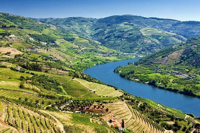 Complete Douro Valley Wine Tour with Lunch, Wine Tastings and River Cruise - The Free Walking Tour Bonus
