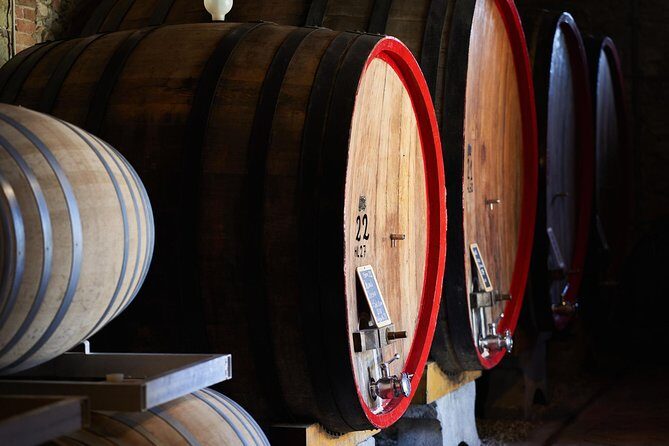 Complete tasting of Castello di Bossi - An In-Depth Look at the Castello di Bossi Tasting Experience