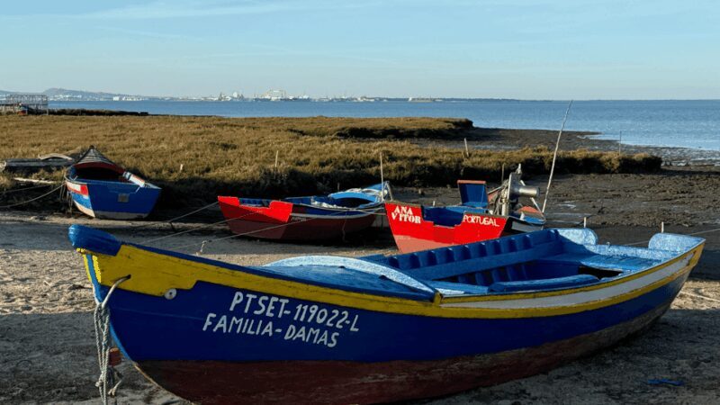 COMPORTA EXPERIENCE: LAND ROVER PREMIUM TOUR | PICNIC & DRONE INCLUDED - Final Thoughts: Who Is This Tour For?